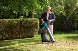 bladblazen in de tuin
