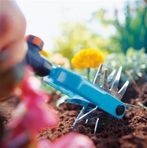 Tuinfrees