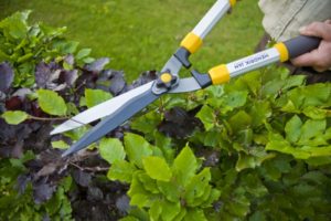 Hendrik Jan tuingereedschap