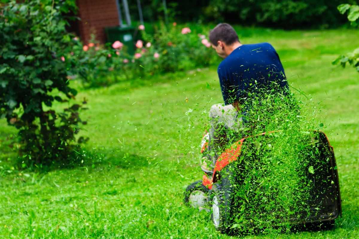 onderhoudmaaiengras Tuingereedschap tips